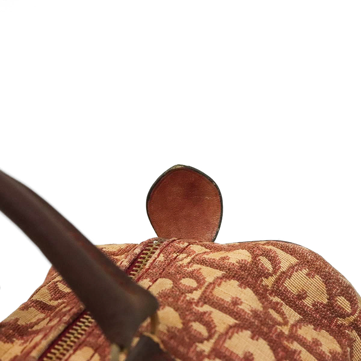DIOR boston trotter bag