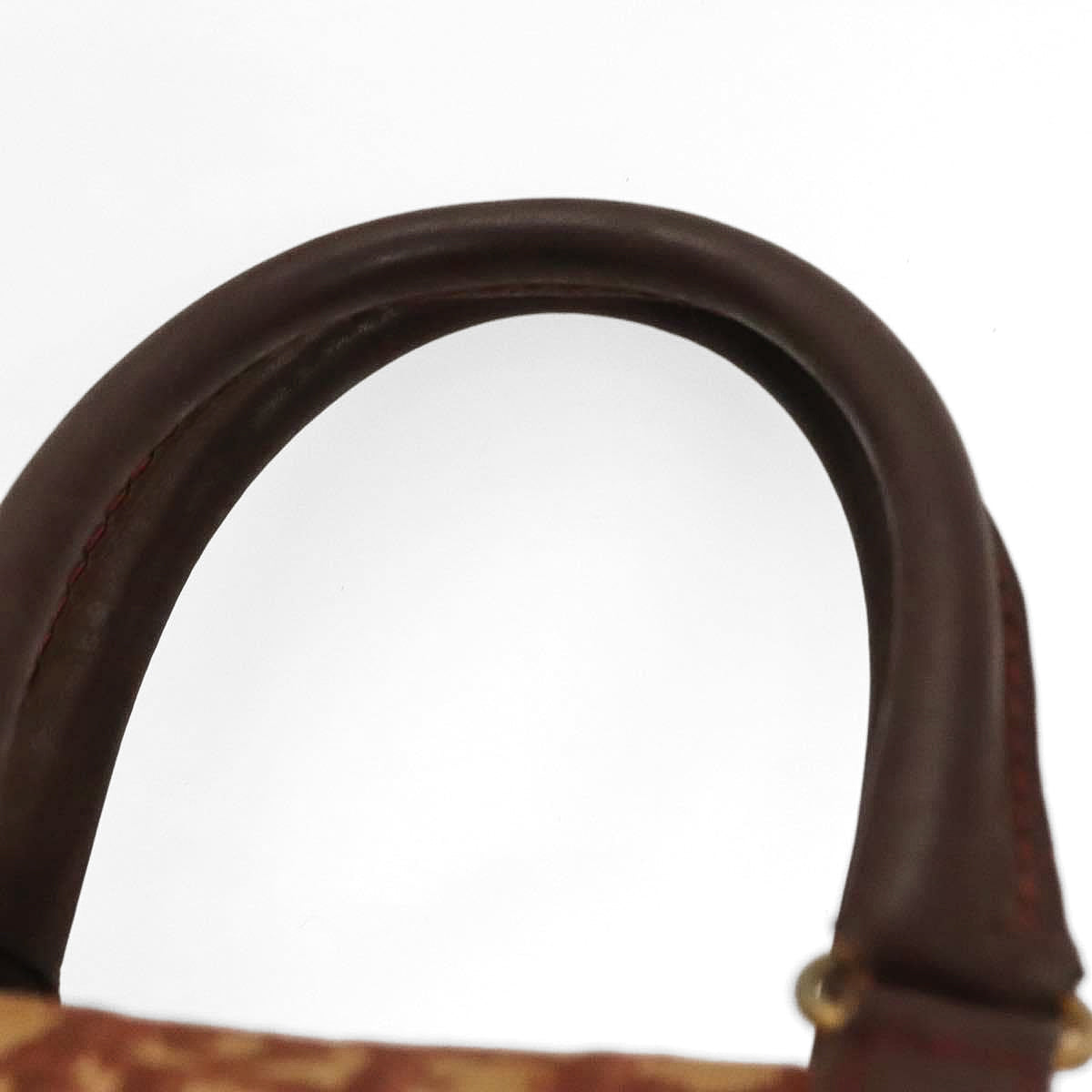 DIOR boston trotter bag