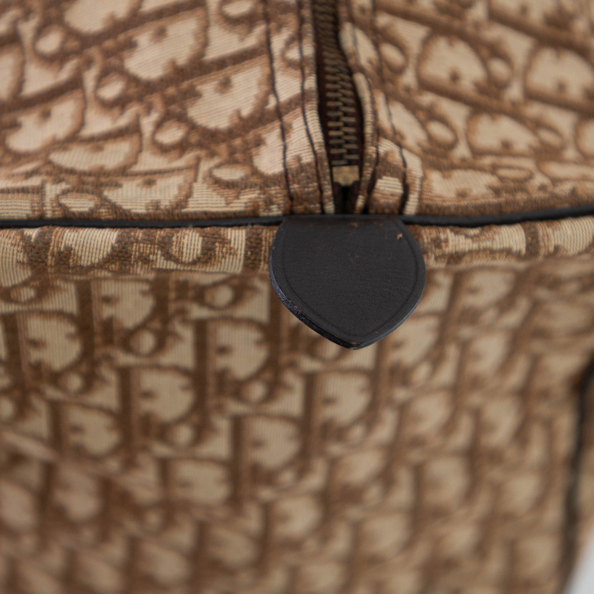 DIOR boston trotter bag