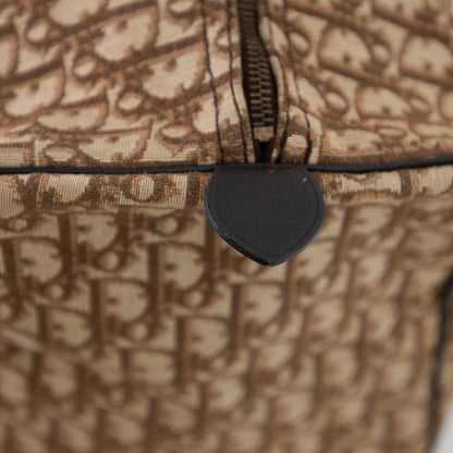 DIOR boston trotter bag