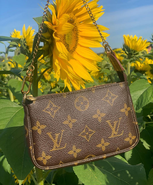 LOUIS VUITTON mini chain pochette