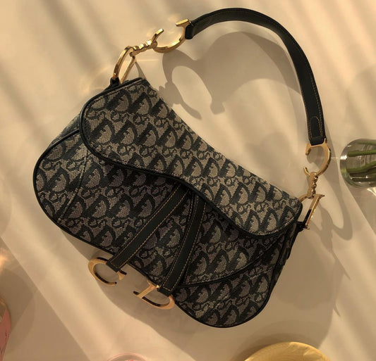 DIOR double saddle bag