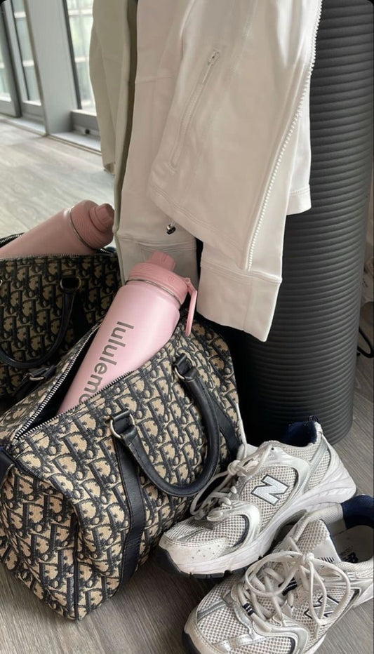 DIOR trotter Boston bag