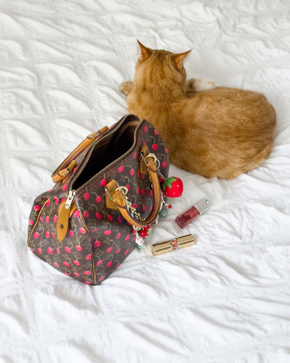 LOUIS VUITTON cherry speedy 25