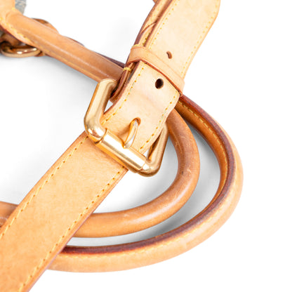 LOUIS VUITTON denim neo cabby mm with shoulder strap