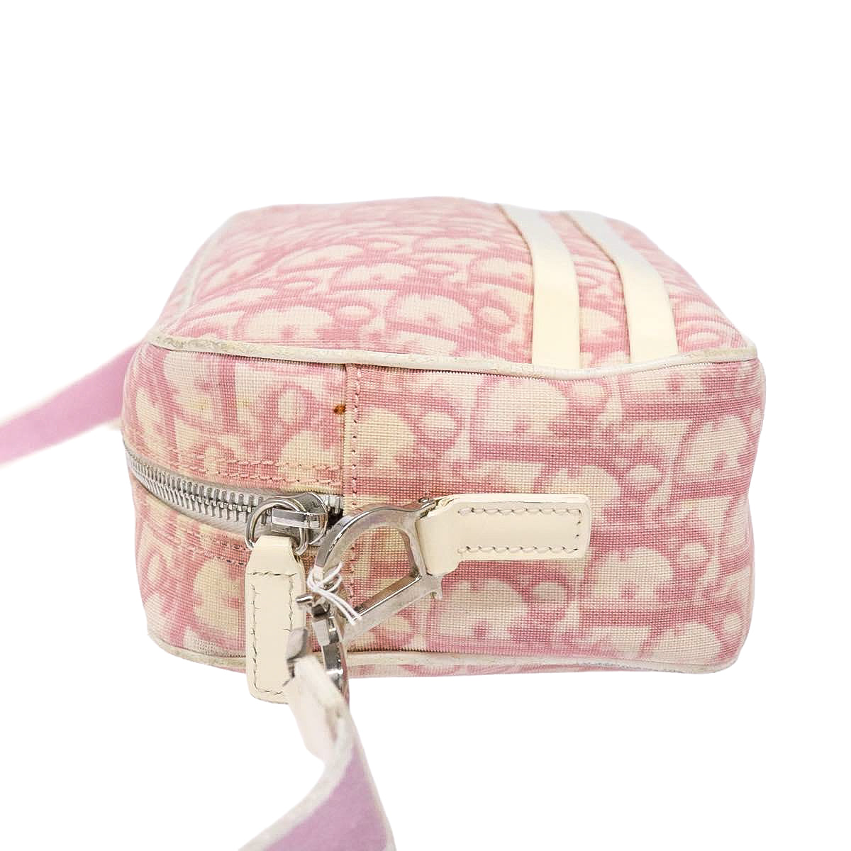 DIOR oblique trotter crossbody bag