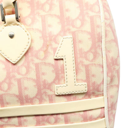 DIOR x John Galliano pink trotter Boston bag