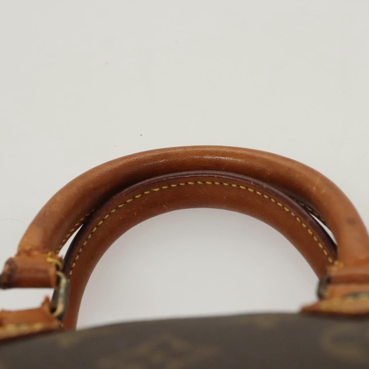 LOUIS VUITTON mini speedy with strap